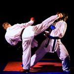 Всестилевое каратэ